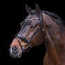 Imperial Riding Olympia Bridle #colour_black-rose-gold
