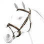 Equipe Rolled Browband Flash Bridle with Silver Fittings #colour_brown