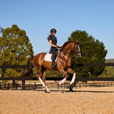 Weatherbeeta Tough-Tec Prime Brushing Boots #colour_white-white