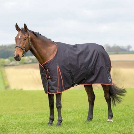 Shires Ontario 220g Turnout Rug #colour_black