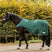 Waldhausen Comfort Horse Walker Rug #colour_fir-green