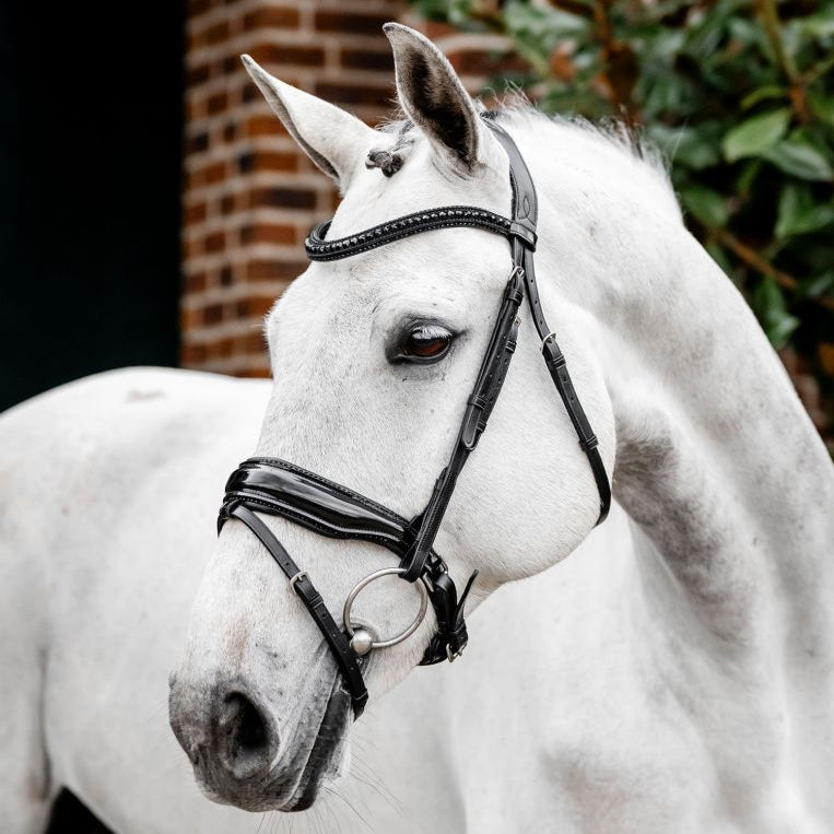 Horseware Ireland Diamante Flash Bridle #colour_black-black