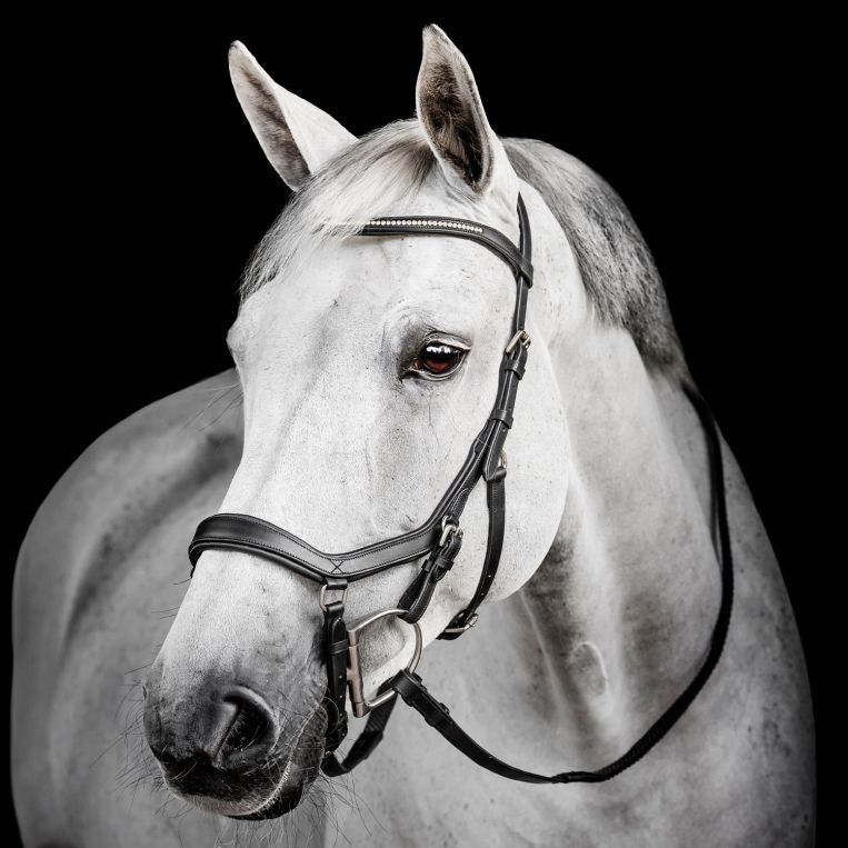 Horseware Micklem Diamante Competition Bridle
