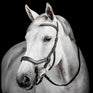 Horseware Micklem Diamante Competition Bridle
