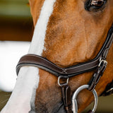 Horseware Micklem Competition Bridle #colour_dark-havana