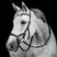 Horseware Micklem Deluxe Competition Bridle #colour_black