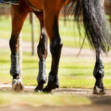 Horseware Ireland Classic Fetlock Boots #colour_black-black