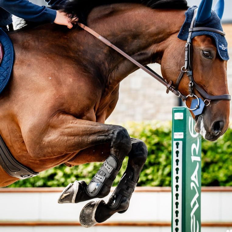 Horseware Ireland Classic Tendon Boots #colour_black-black