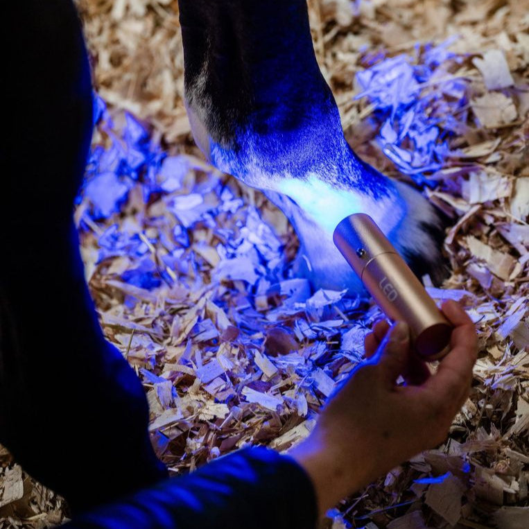 Horseware Ireland LED Red Light Therapy Wand #colour_black-black