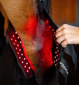 Horseware Ireland LED Red Light Therapy Hock Boot