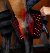 Horseware Ireland LED Red Light Therapy Hock Boot
