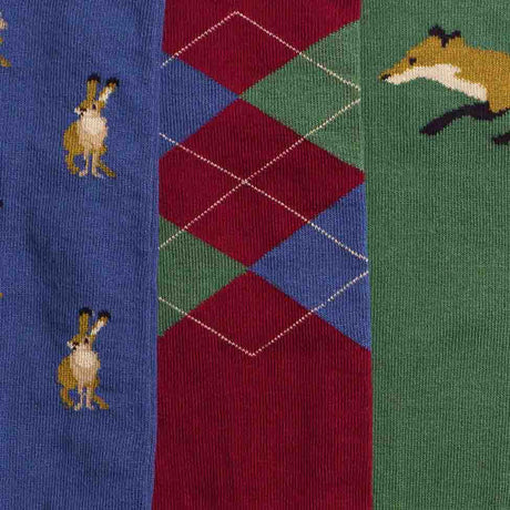 Toggi Men's Country Socks #colour_blue-deep-red-green