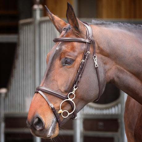 Shires Velociti Rapida Training Bridle #colour_havana