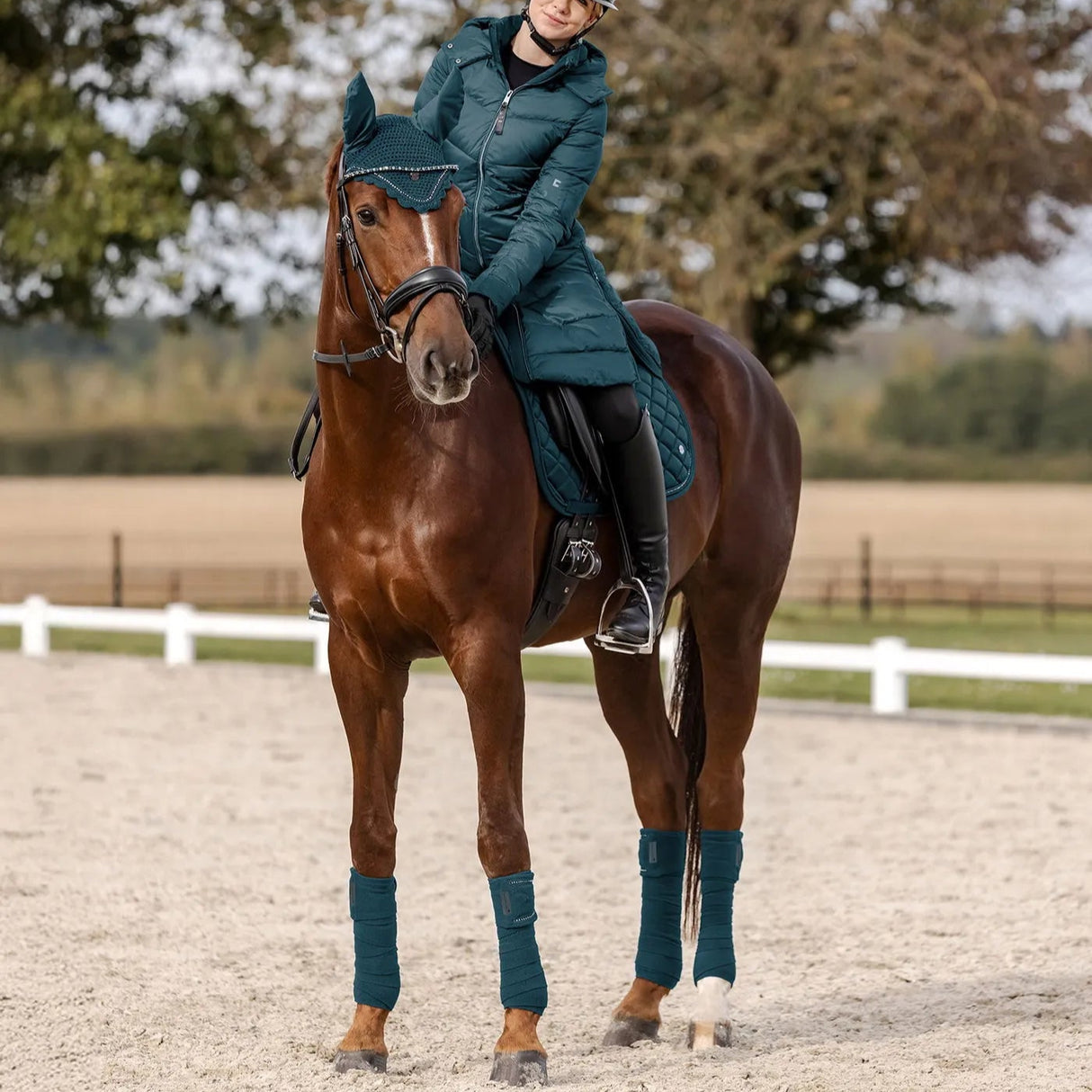 Waldhausen Nepal Saddle Pad #colour_petrol-blue