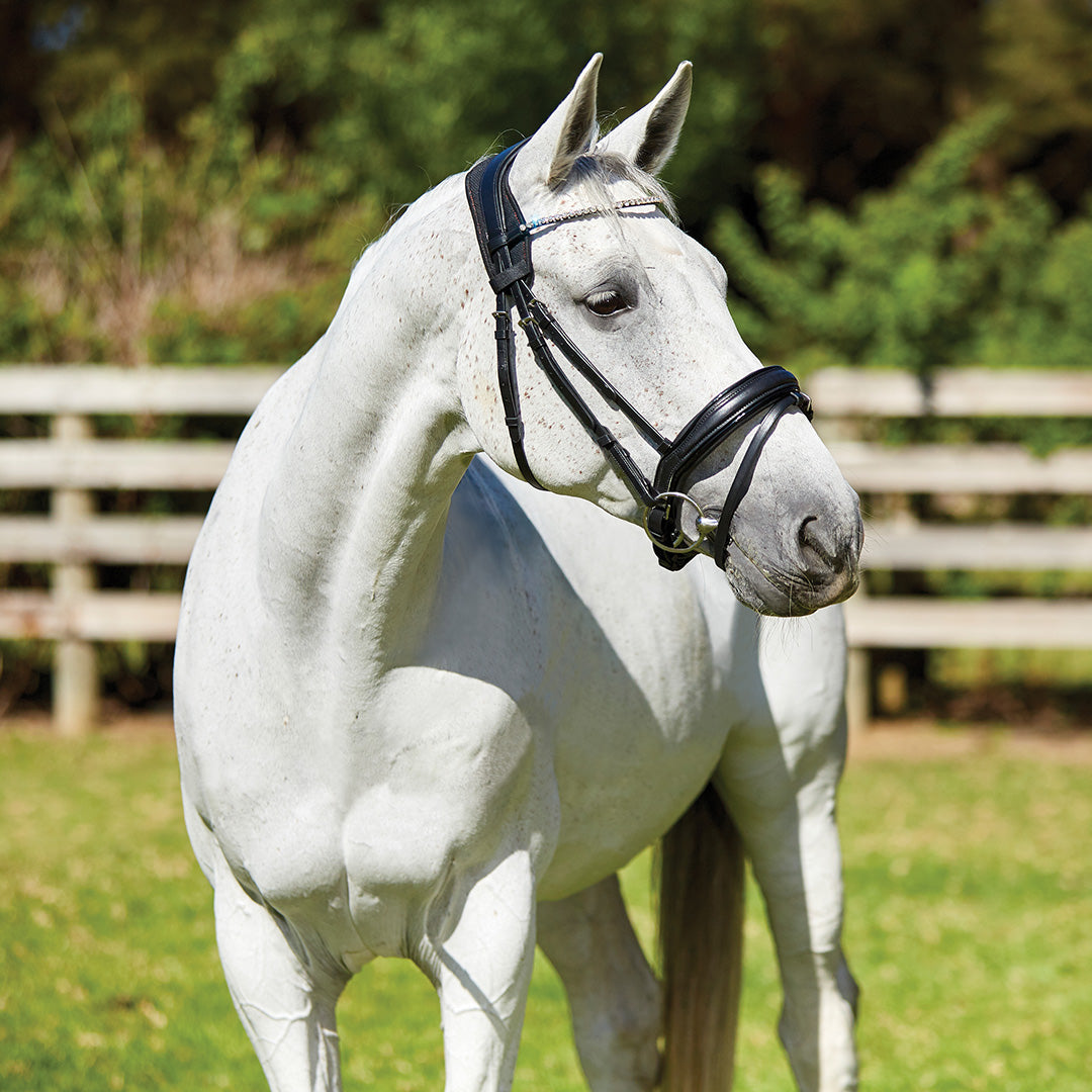 Weatherbeeta Therapy-Tec Anatomical Poll Pad #colour_black-red