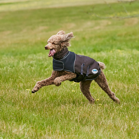 Weatherbeeta Comfitec Ultra Cozi Dog Coat Medium/Lite #colour_charcoal-blue-white