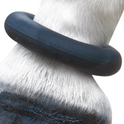 Anneau pour boulet Shires