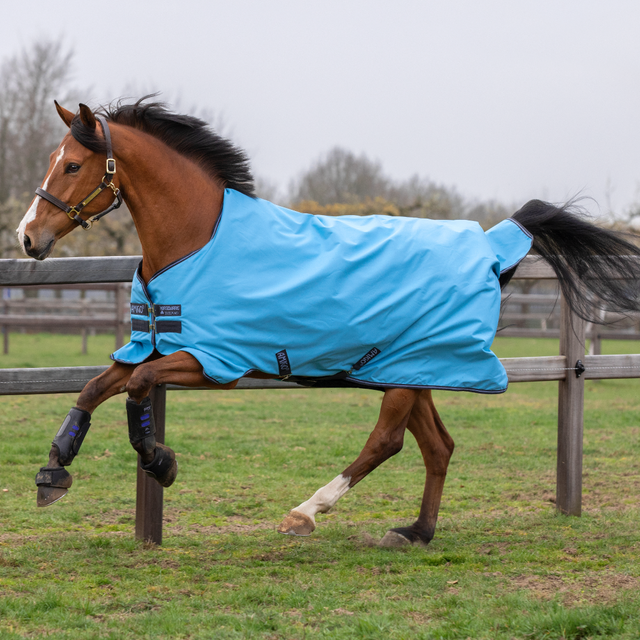 Horseware Ireland Amigo Hero 900 Turnout Lite 0g #colour_capri-gunmetal-bluebell