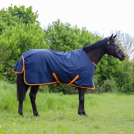 #colour_navy-orange