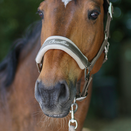 Covalliero Padded Headcollar #colour_avocado