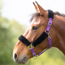 Shires Fleece Lined Headcollar #colour_purple-black