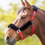 Shires Fleece Lined Headcollar #colour_red-black