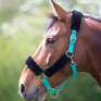 Shires Fleece Lined Headcollar #colour_teal-black