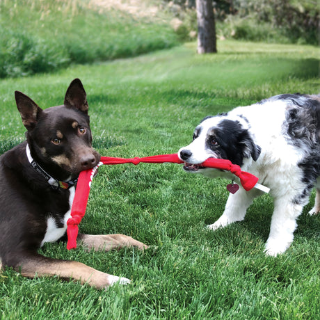 KONG Signature Crunch Rope Double