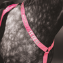 Shires EQUI-FLECTOR Breastplate #colour_pink