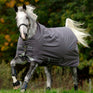 Horseware Ireland Amigo Bravo 12 Original 250g Medium Turnout Rug #colour_excalibur-plum-silver