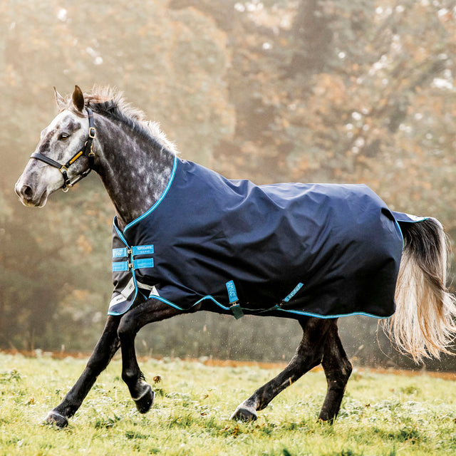 Horseware Ireland Amigo Bravo 12 Original 50g Lite Turnout Rug #colour_navy-turquoise-aqua-blue