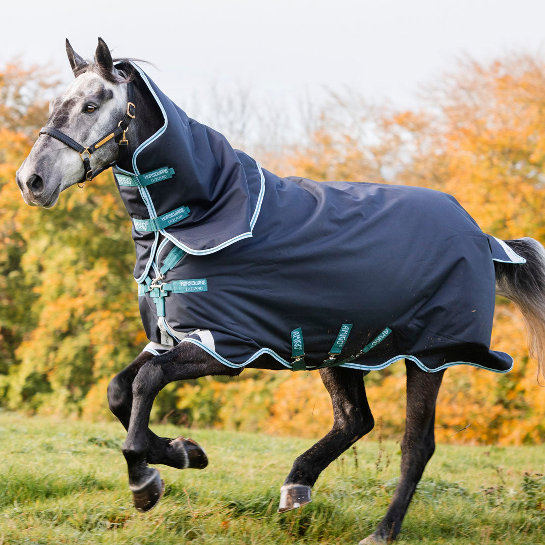Horseware Ireland Amigo Bravo 12 Plus 250g Medium Turnout Rug #colour_navy-aqua-turquoise