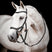 Horseware Ireland Micklem 2 Competition Bridle #colour_black