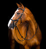 Horseware Ireland Micklem 2 Deluxe Competition Bridle #colour_black