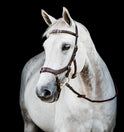 Horseware Ireland Micklem 2 Multi Bridle #colour_dark-havana