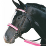 Roma Reflective Bridle Kit #colour_pink