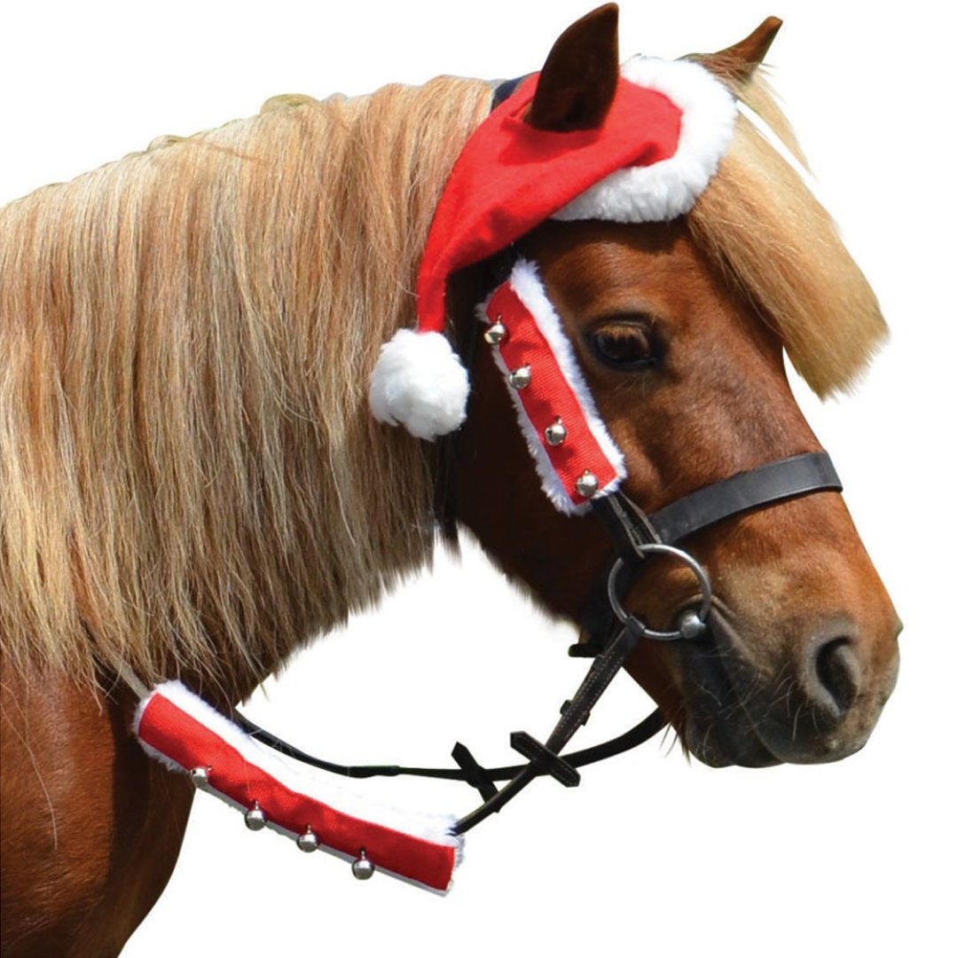hy equestrian 크리스마스 산타 굴레 세트