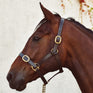 Mackey Classic Leather Headcollar #colour_brown