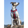 Kurgo Journey Air Harness #colour_red