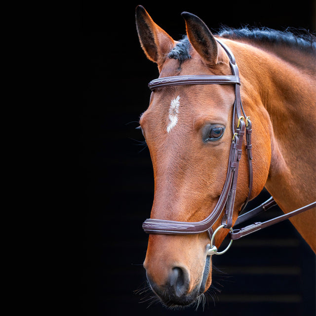 Shires Salisbury Berkeley Anatomical Cavesson Bridle #colour_australian-nut