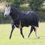 Shires Highlander Plus 200 Combo Turnout Rug #colour_black