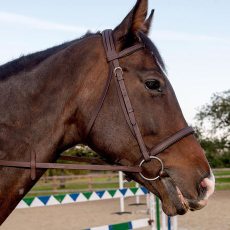 Whitaker Ready To Ride Snaffle Bridle #colour_havana