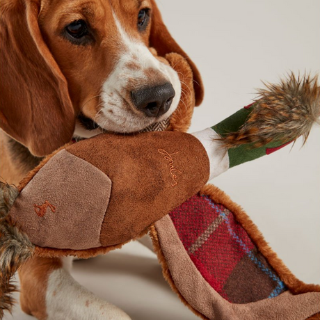 Joules Pheasant Dog Toy #colour_brown