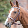 Shires Avignon Hunter Cavesson Bridle #colour_oak