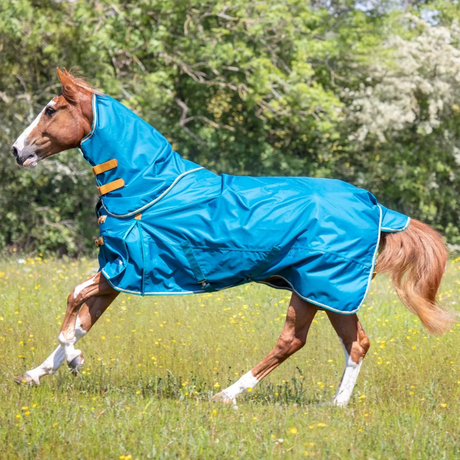 Shires Highlander Original Lite Turnout Rug & Neck #colour_teal